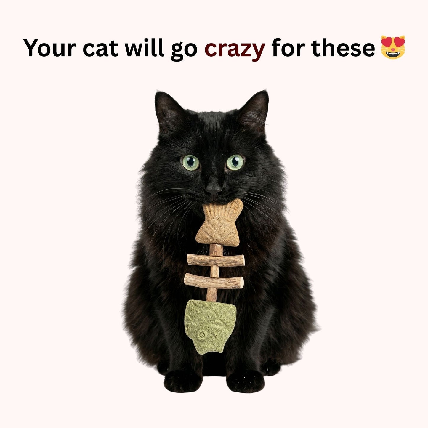 Let Your Cat Brush Their Own Teeth! š¦·š± (Buy 1 Get 1 FREE)