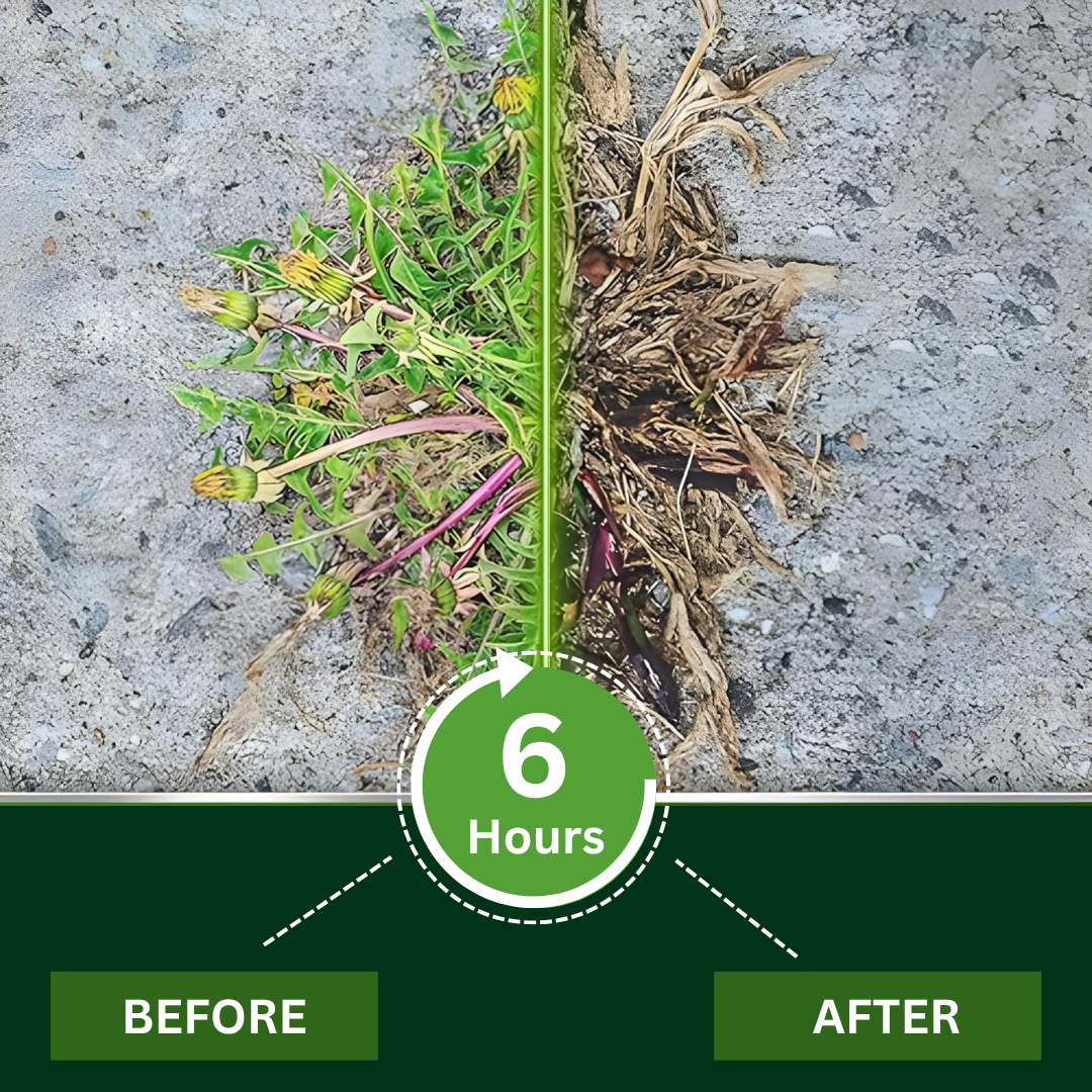 🌟 Official Store |🌿Hot Sale - 49% OFF🔥 2-in-1 Maximum Power HerbicideWipe Out Weeds in 6 Hours