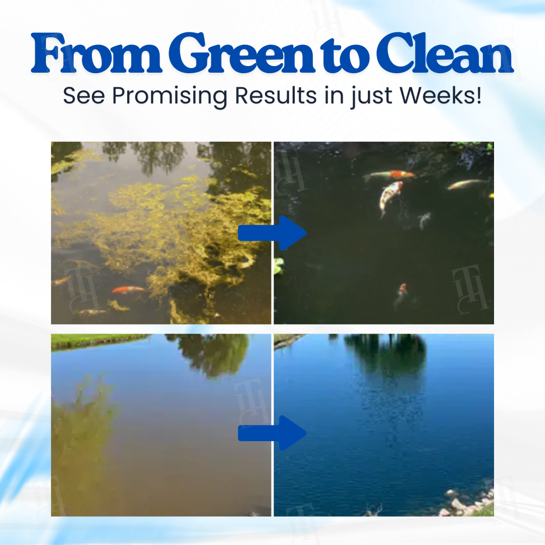 Official Store |🌟Hot Sale - 50% OFF🌿Aqua-Guardian™ Pro Eco Water Purifier | 4-Hour Fast Clear & 6-Month Maintenance-Free🔥