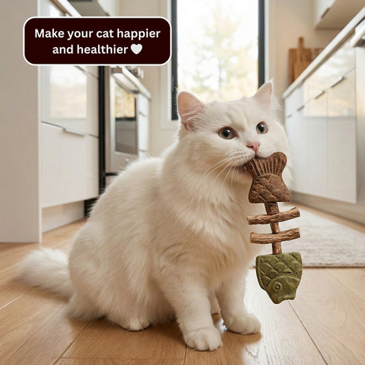 Let Your Cat Brush Their Own Teeth! 🦷🐱 (Buy 1 Get 1 FREE)
