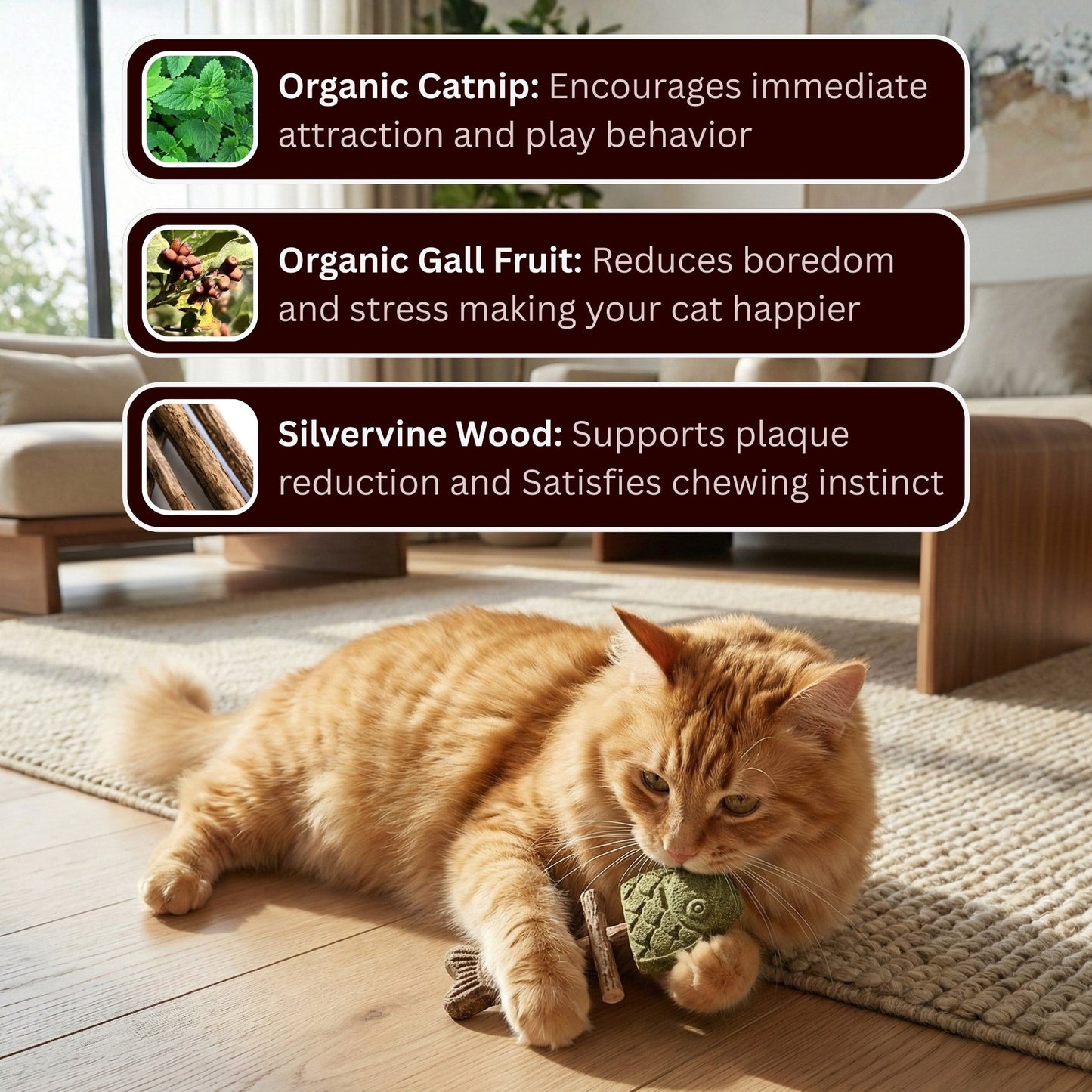 Let Your Cat Brush Their Own Teeth! 🦷🐱 (Buy 1 Get 1 FREE)