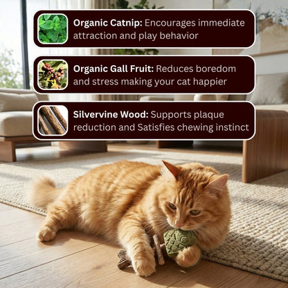 Let Your Cat Brush Their Own Teeth! 🦷🐱 (Buy 1 Get 1 FREE)